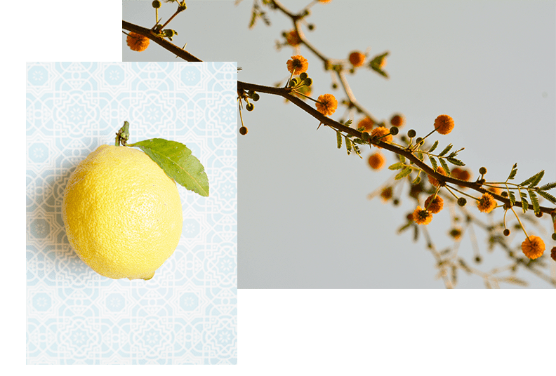 Aceite de neem para limoneros