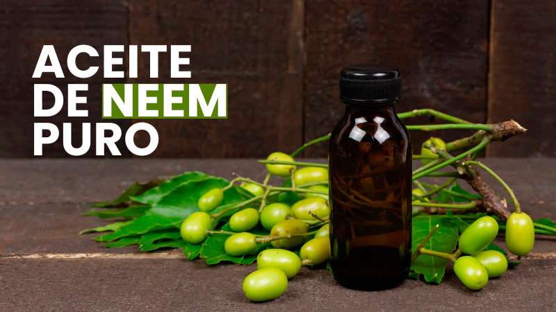 Comprar aceite neem puro