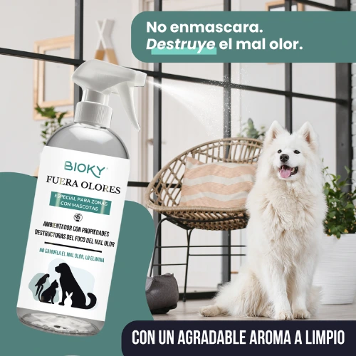 Con un agradable aroma a limpio