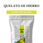 Quelato de Hierro