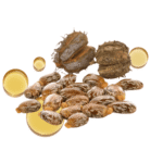 Aceite de Ricino M.P.