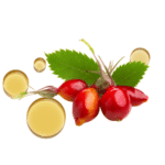 Aceite de Rosa Mosqueta M.P.