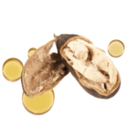 Aceite de Baobab M.P.