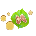 Aceite de Karanja M.P.