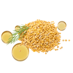Aceite de Mostaza M.P.