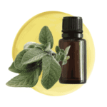 Aceite Esencial de Salvia M.P.