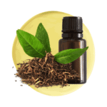 Aceite Esencial Árbol de Té M.P.