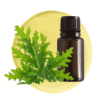 Aceite Esencial de Citronela M.P.