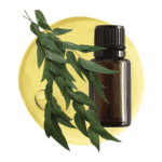 Aceite Esencial de Eucalipto M.P.