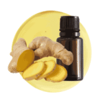 Aceite Esencial de Jengibre M.P.