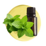 Aceite Esencial de Menta Piperita M.P.