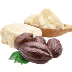 Manteca de Cacao M.P.