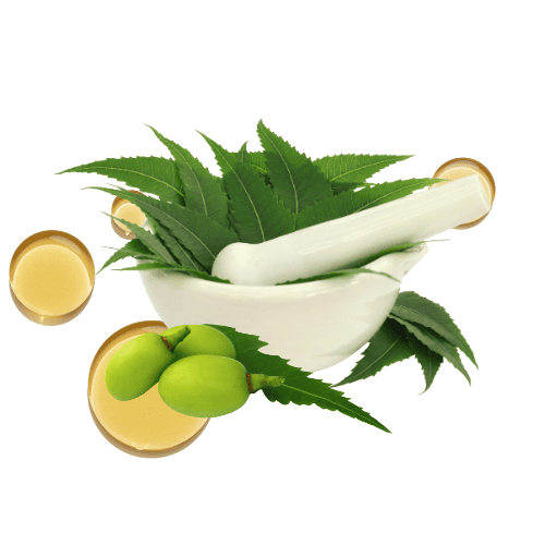 Aceite de Neem al por mayor