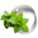 Hidrolato de Menta Piperita M.P.