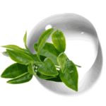 Hidrolato de Té Verde M.P.