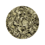 Menta Piperita Seca M.P.
