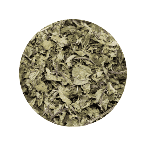Menta Piperita Seca Mayorista