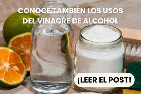 Lee aquí otros usos del vinagre también en plantas
