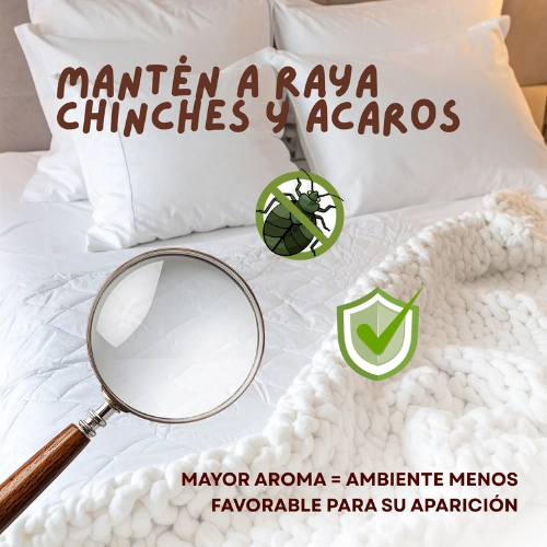 Mantén a raya las chinches y los ácaros