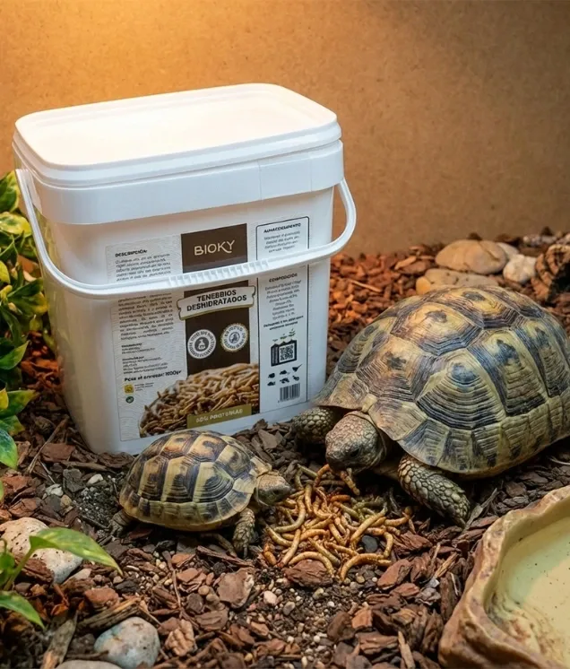 Gusanos de la harina forma de uso