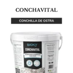 Conchilla de Ostra