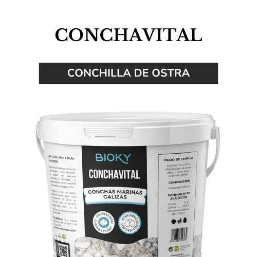 Conchilla de ostra para aves