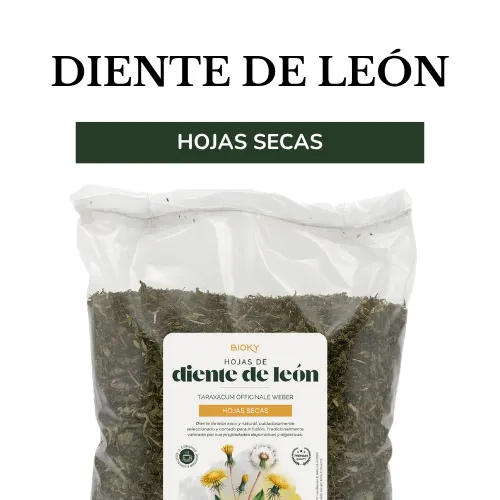 Hojas de diente de león secas