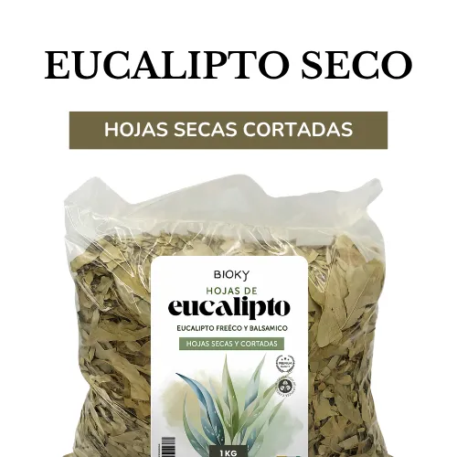 Portada de eucalipto seco producto de Bioky Botanicals